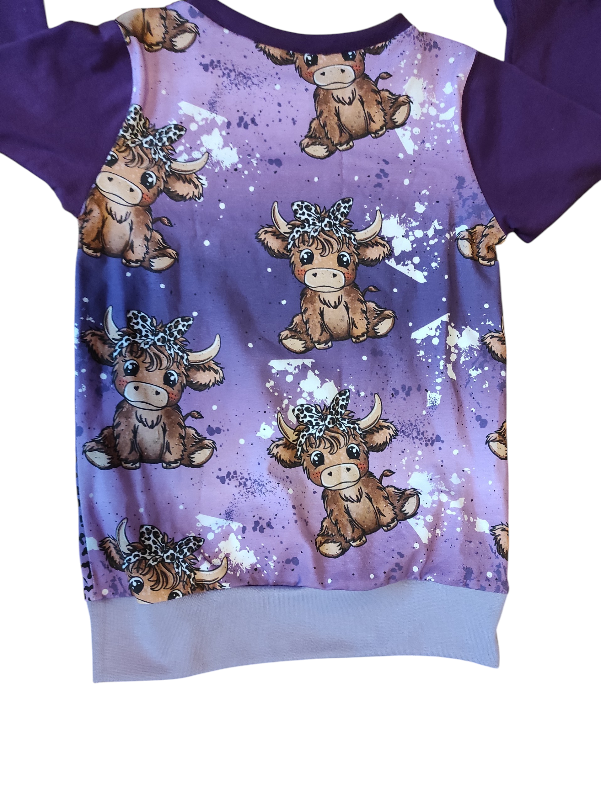 Langarmshirt Größe 104