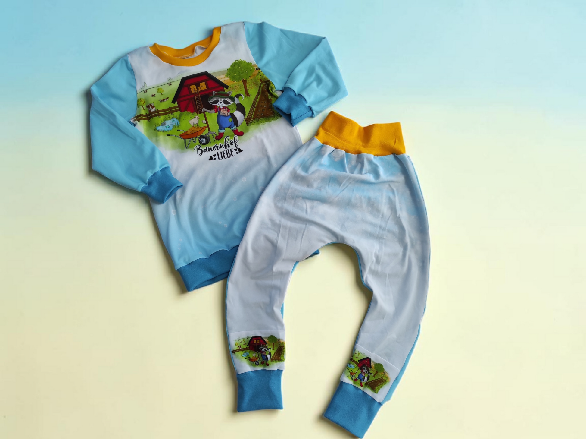 Set Hose & Langarmshirt Größe 116